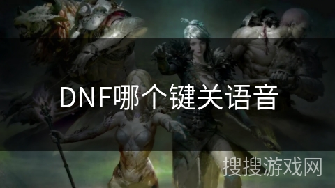 DNF哪个键关语音