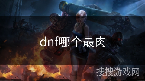dnf哪个最肉