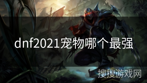 dnf2021宠物哪个最强 dnf2021宠物哪个最强