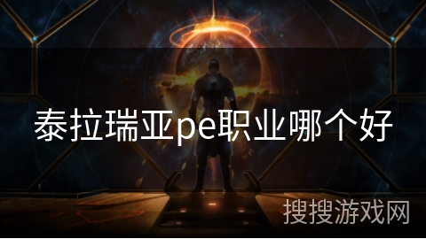 泰拉瑞亚pe职业哪个好