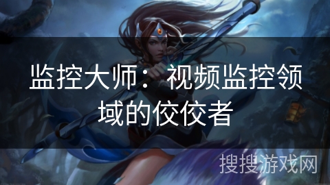 监控大师：视频监控领域的佼佼者