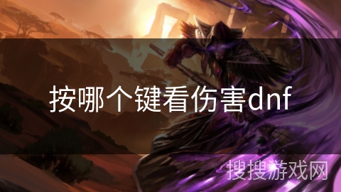 按哪个键看伤害dnf