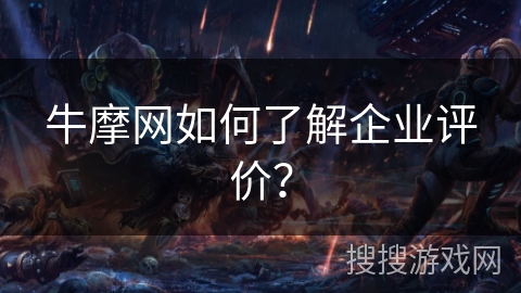 牛摩网如何了解企业评价？