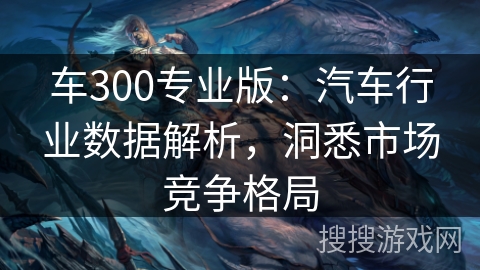 车300专业版：汽车行业数据解析，洞悉市场竞争格局
