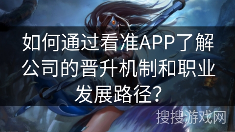 如何通过看准APP了解公司的晋升机制和职业发展路径？