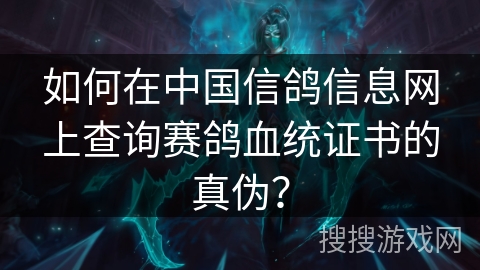 如何在中国信鸽信息网上查询赛鸽血统证书的真伪？