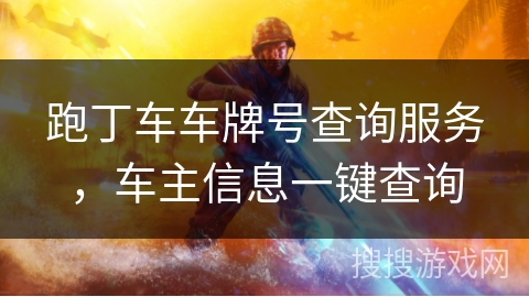 跑丁车车牌号查询服务，车主信息一键查询