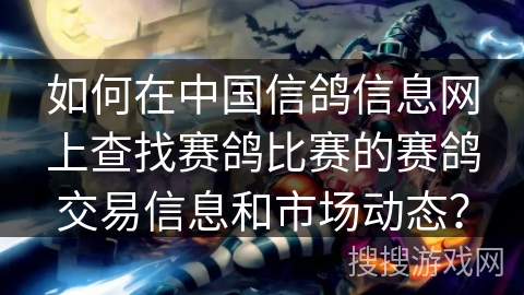 如何在中国信鸽信息网上查找赛鸽比赛的赛鸽交易信息和市场动态？
