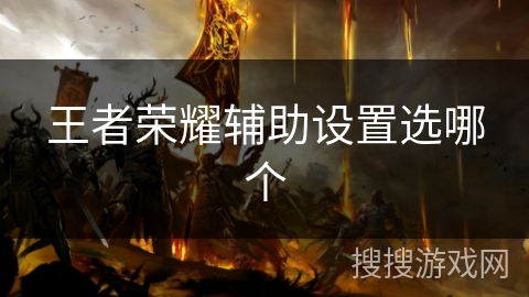 王者荣耀辅助设置选哪个