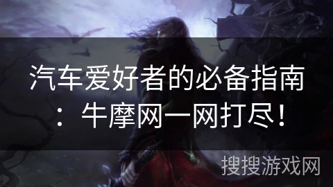 汽车爱好者的必备指南：牛摩网一网打尽！