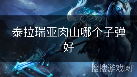 泰拉瑞亚肉山哪个子弹好