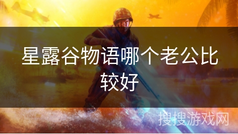 星露谷物语哪个老公比较好