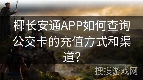 椰长安通APP如何查询公交卡的充值方式和渠道？