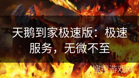 天鹅到家极速版：极速服务，无微不至