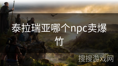 泰拉瑞亚哪个npc卖爆竹