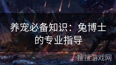 养宠必备知识：兔博士的专业指导