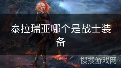 泰拉瑞亚哪个是战士装备