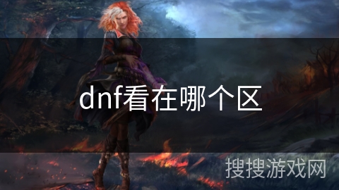 dnf看在哪个区