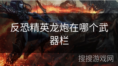 反恐精英龙炮在哪个武器栏