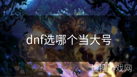 dnf选哪个当大号