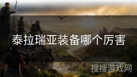 泰拉瑞亚装备哪个厉害