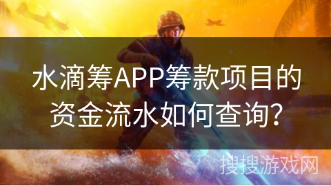 水滴筹APP筹款项目的资金流水如何查询？