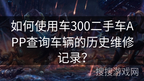 如何使用车300二手车APP查询车辆的历史维修记录？