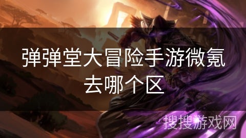 弹弹堂大冒险手游微氪去哪个区