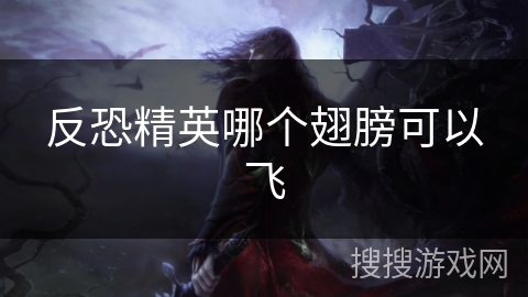 反恐精英哪个翅膀可以飞