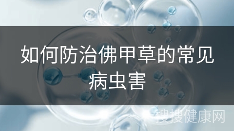 如何防治佛甲草的常见病虫害