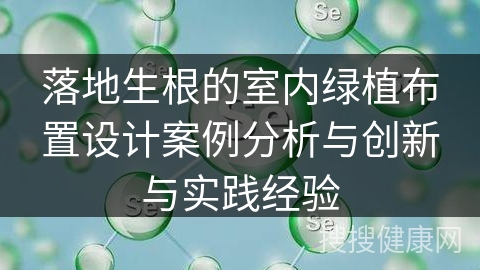 落地生根的室内绿植布置设计案例分析与创新与实践经验