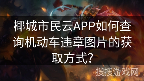 椰城市民云APP如何查询机动车违章图片的获取方式？