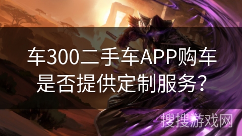 车300二手车APP购车是否提供定制服务？