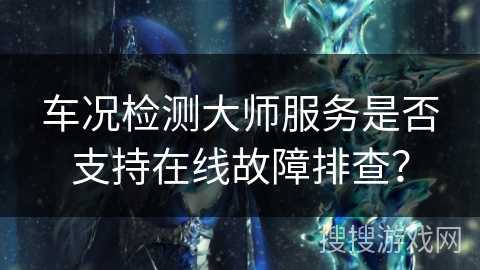车况检测大师服务是否支持在线故障排查？