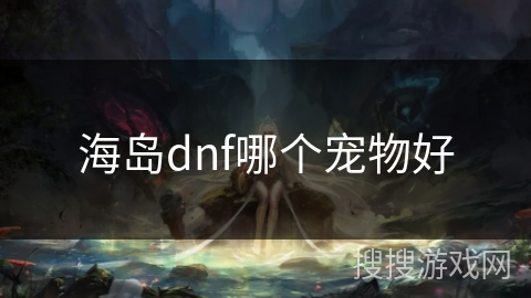 海岛dnf哪个宠物好 海岛dnf哪个宠物好