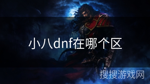 小八dnf在哪个区 小八dnf在哪个区