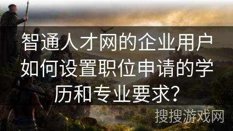 智通人才网的企业用户如何设置职位申请的学历和专业要求？