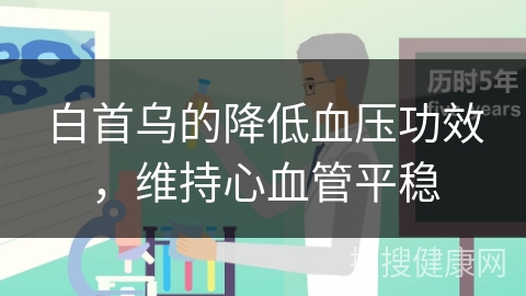 白首乌的降低血压功效，维持心血管平稳