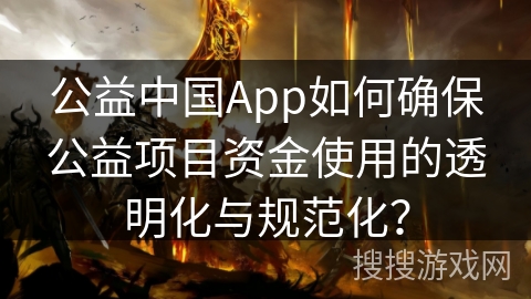 公益中国App如何确保公益项目资金使用的透明化与规范化？