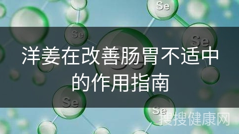 洋姜在改善肠胃不适中的作用指南