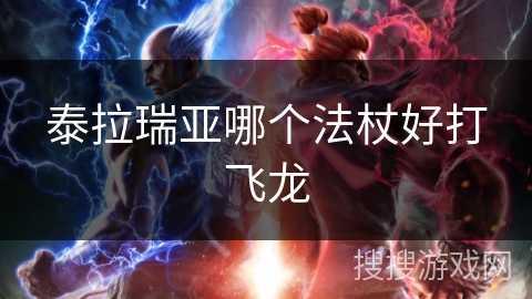 泰拉瑞亚哪个法杖好打飞龙