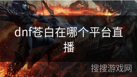 dnf苍白在哪个平台直播
