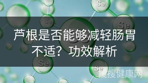 芦根是否能够减轻肠胃不适？功效解析