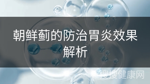 朝鲜蓟的防治胃炎效果解析