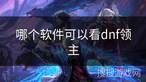 哪个软件可以看dnf领主