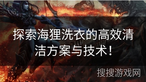 探索海狸洗衣的高效清洁方案与技术！
