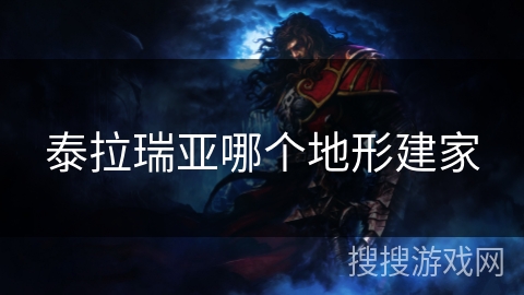 泰拉瑞亚哪个地形建家