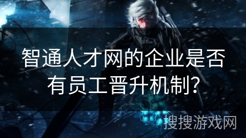 智通人才网的企业是否有员工晋升机制？