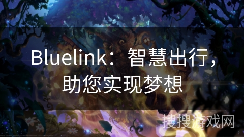 Bluelink：智慧出行，助您实现梦想