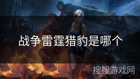 战争雷霆猎豹是哪个